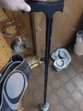Adjustable Black Walking Cane with Gray Base